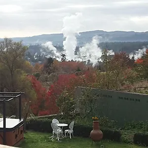 Geyser Lookout Rotorua